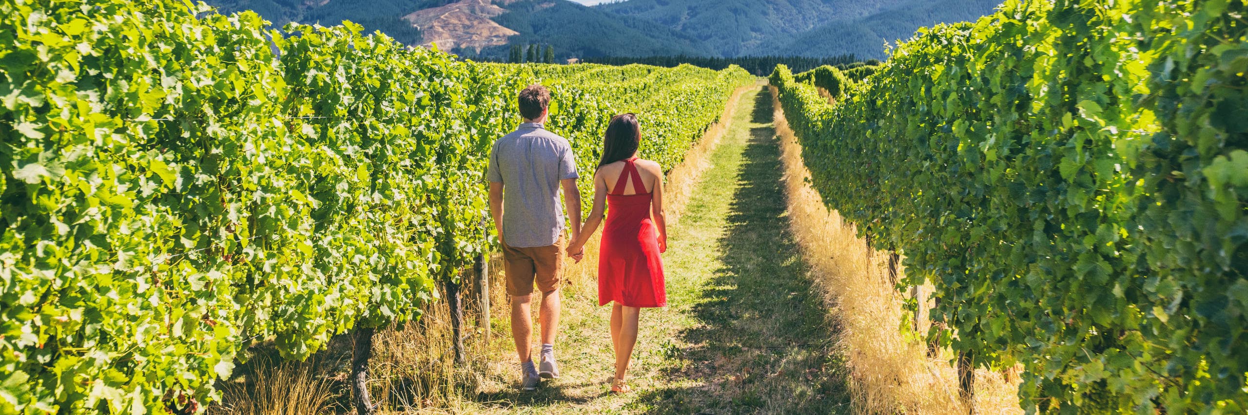 Chianti Wine Experience Tour with Bologna Tour
