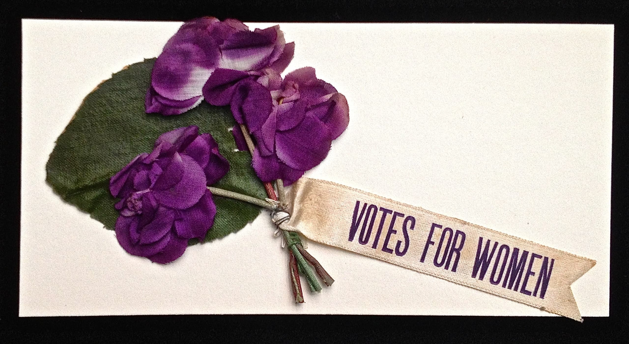 Historical Walking Tour & Women's Rights in Newcastle