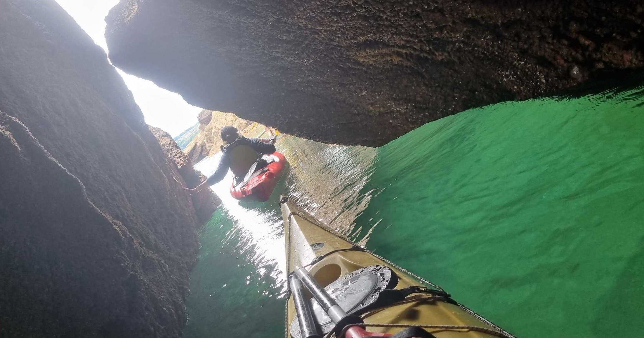 Sea Cave & Wildlife Kayak Tour with Sea Kayak Torbay in Devon