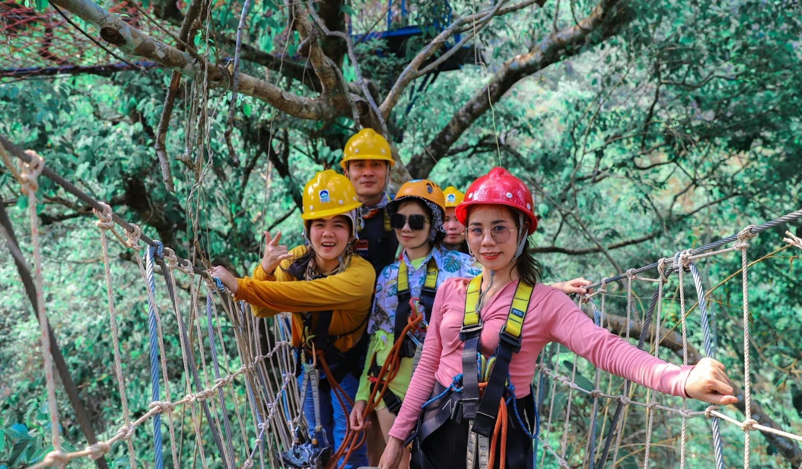 Group crossing suspended canopy walkway surrounded by rainforest