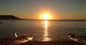 Explore Horseshoe Bay on a Morning Kayak Tour Perfect for Sea Turtle Sightings