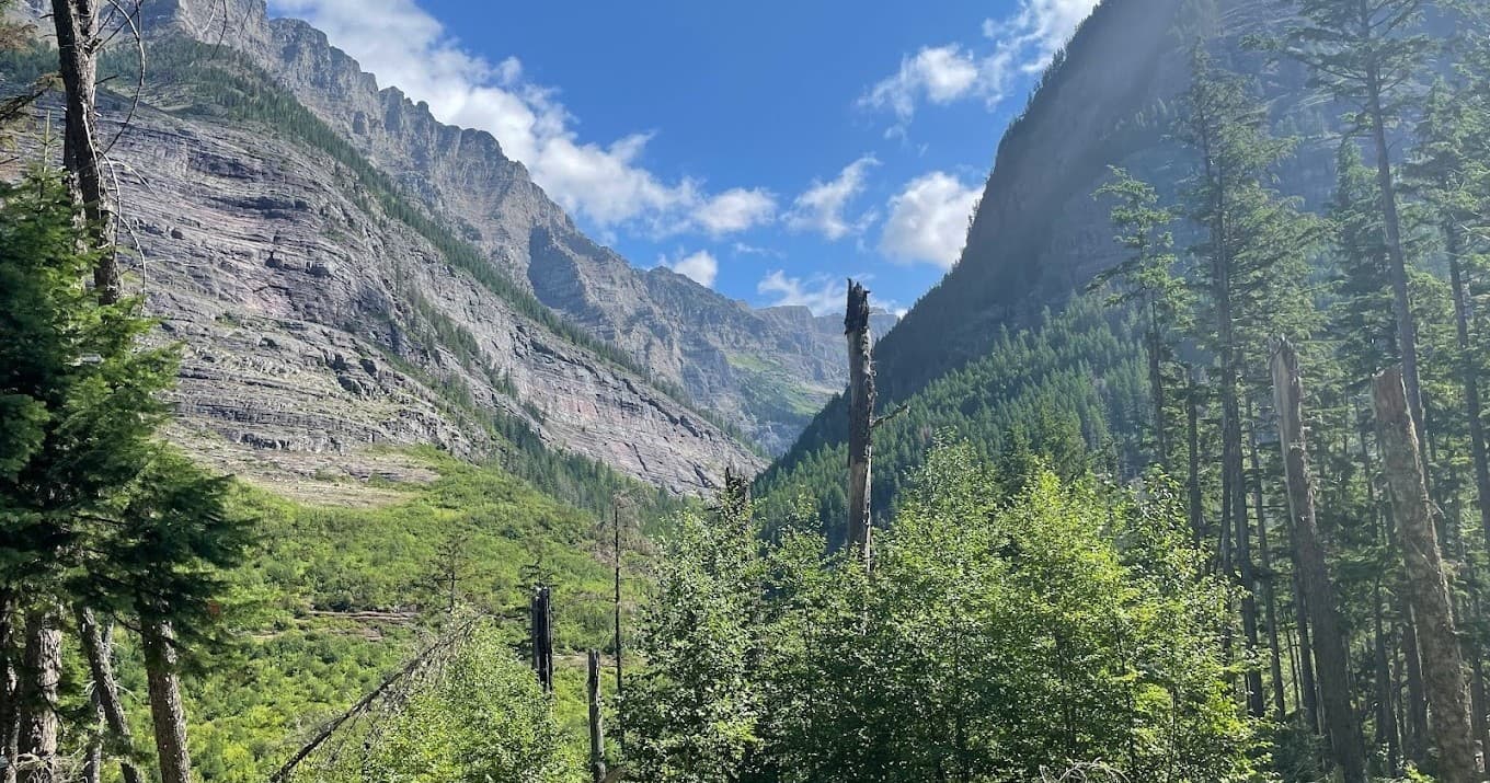 Nature & Wellness: Forest Bathing at Glacier Institute