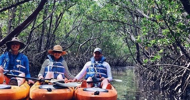 Kayak the Mangroves with Adventure Sea Kayak & SUP on Captiva Island