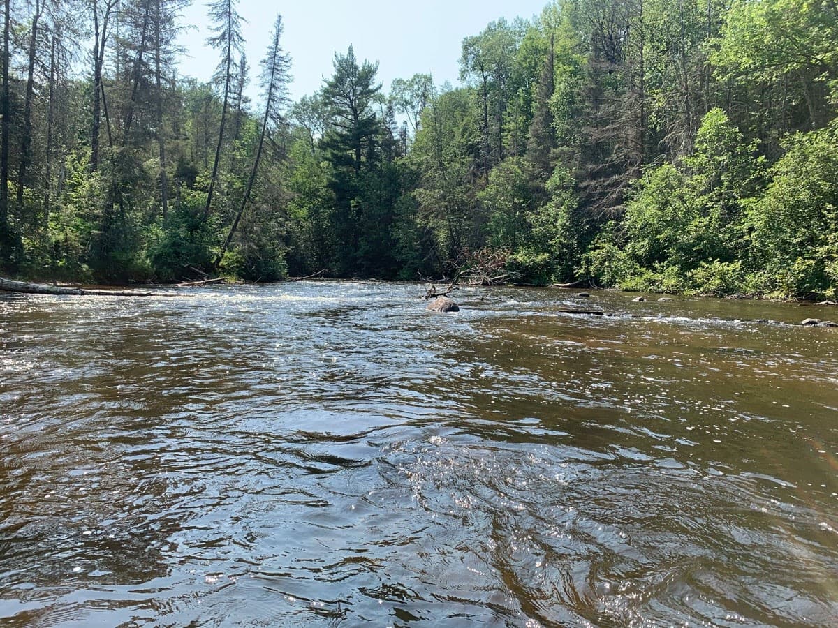 Paddle the Brule: Hwy #2 to CR Campground Canoe & Kayak Shuttle (3-Hour Trip)