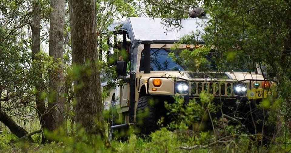 Explore the Outer Banks Wild Horse Sanctuary on a Unique Hummer Adventure Tour