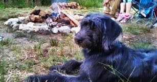 Primitive Camping on the Tar River: A Large Campsite Adventure Near Bunn, NC