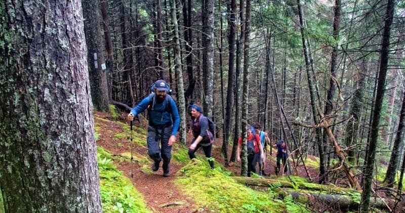 Fundy Footpath Section Hike: Walton Glen Gorge Loop from Saint Martins