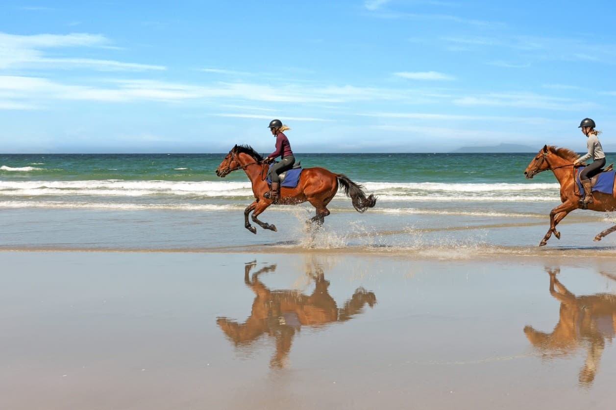 Premium Trek: Private 90-Minute Horseback Ride Along Uretiti Beach in Waipu
