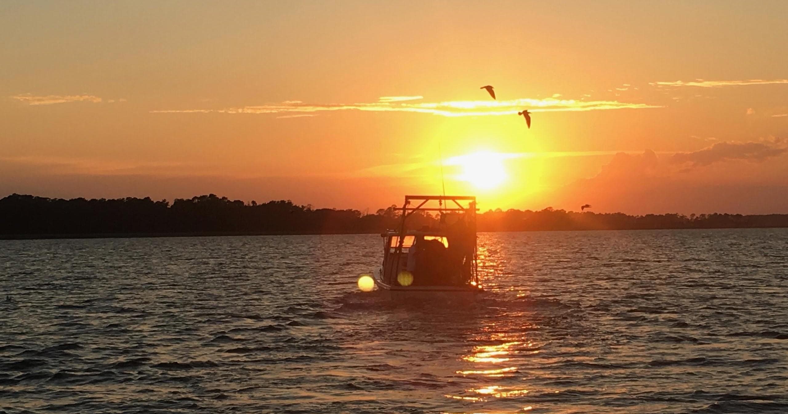 Water Activities: Sunset Dolphin Cruise with Lowcountry Cowboy