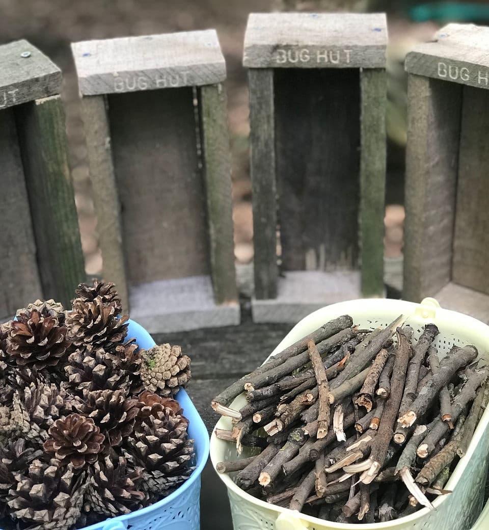 Wildlife & Nature Adventure at Back 2 Bear Outdoor Activities