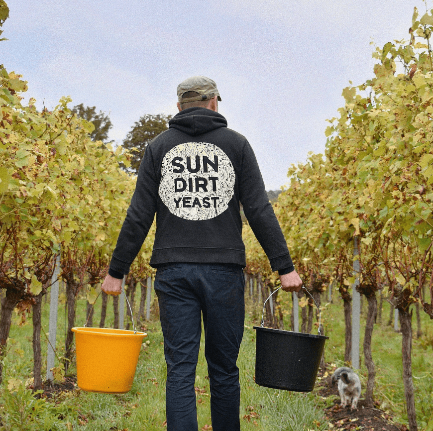 Wine Tasting & Vineyard Tours with Offvine Margate