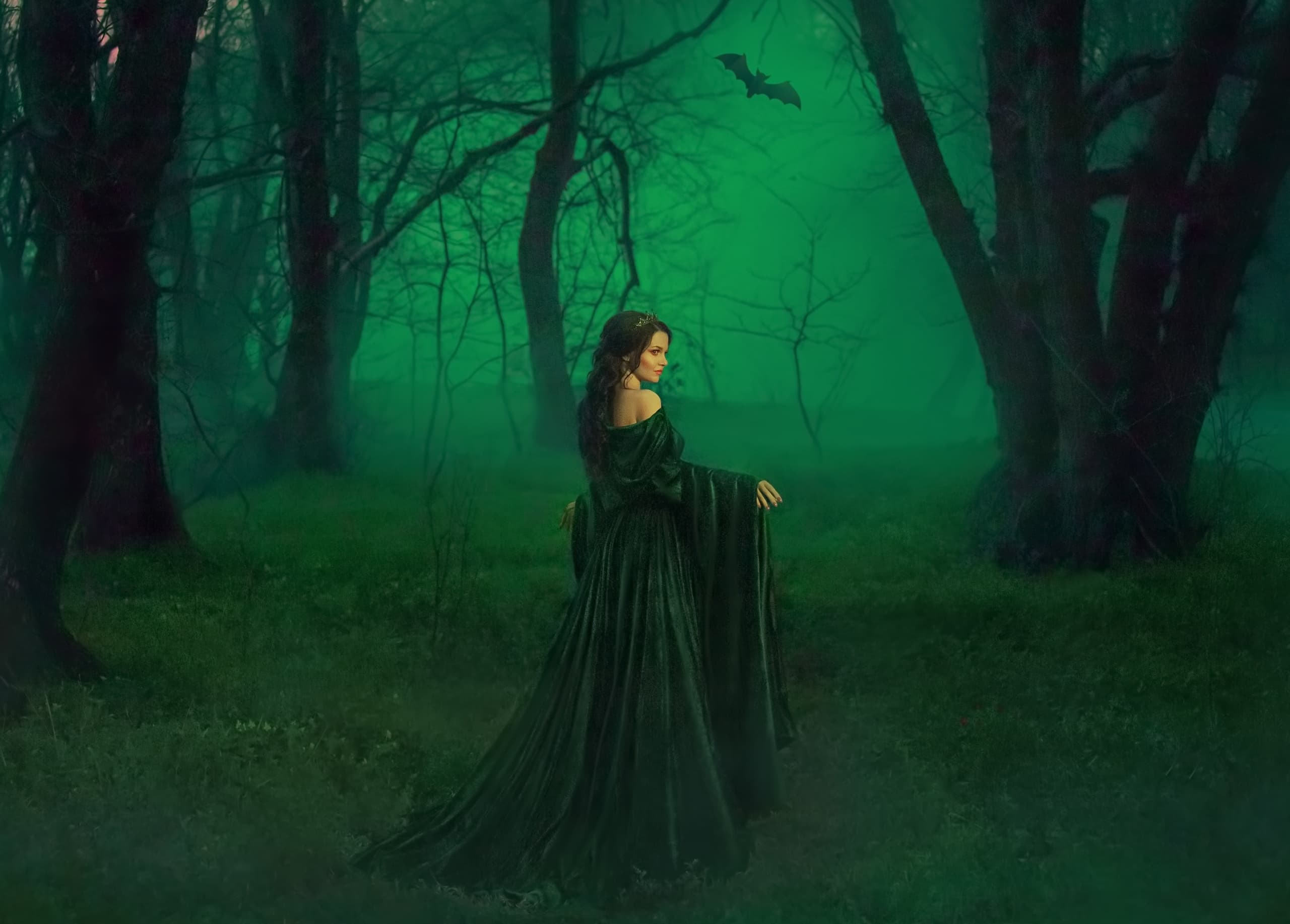VIP Small Group Ghost Tour with Witches Brew Tours