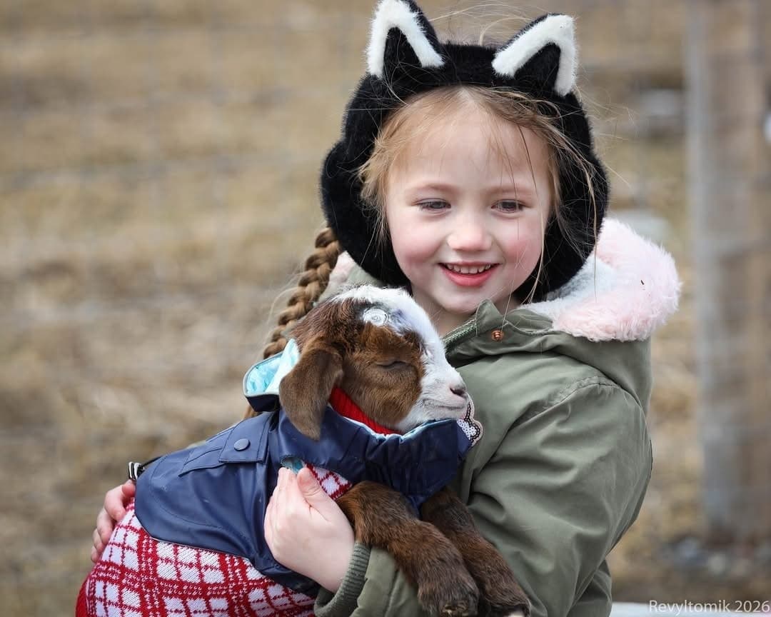 Goat Snuggles and Farm Therapy: Snuggle Days in Martintown photo 3