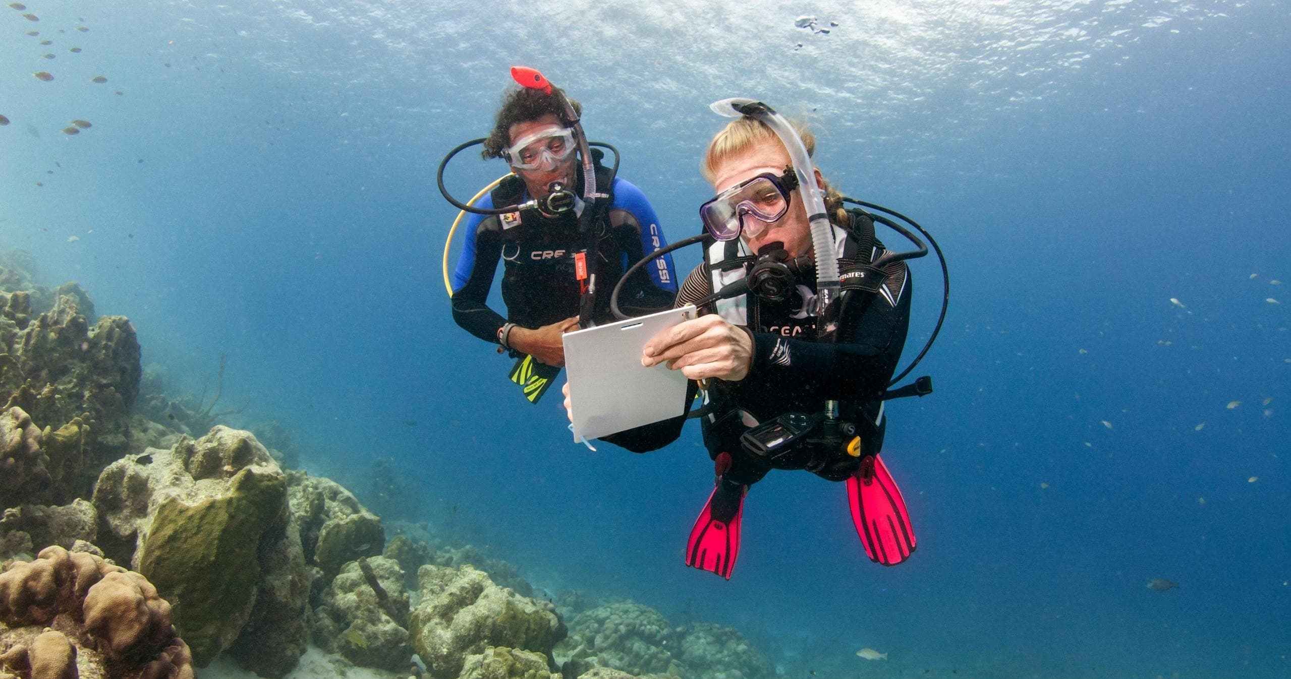 Scuba Diving Certification with Blue Adventures Diving Ltd in Chania