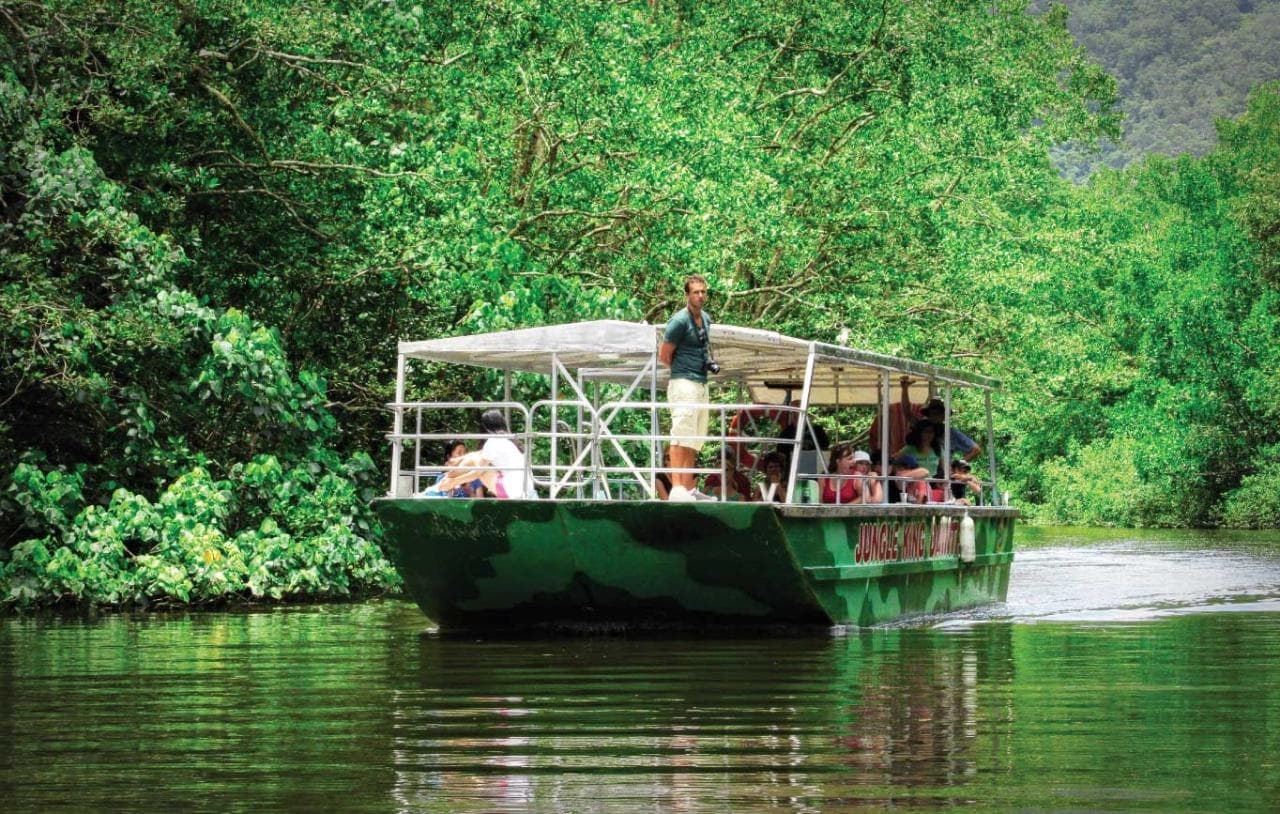 Daintree Rainforest & Wildlife Cruise — Crocodile Sightings from Daintree Village
