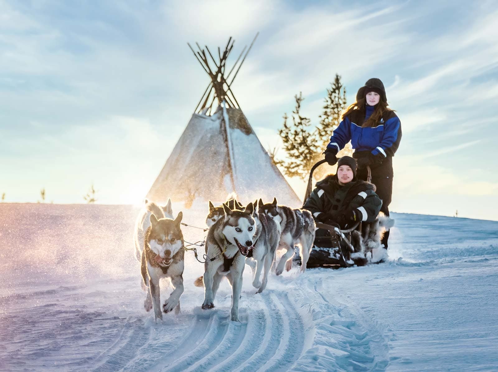 Husky Safari Adventure with Lapponia Tours in Saariselkä