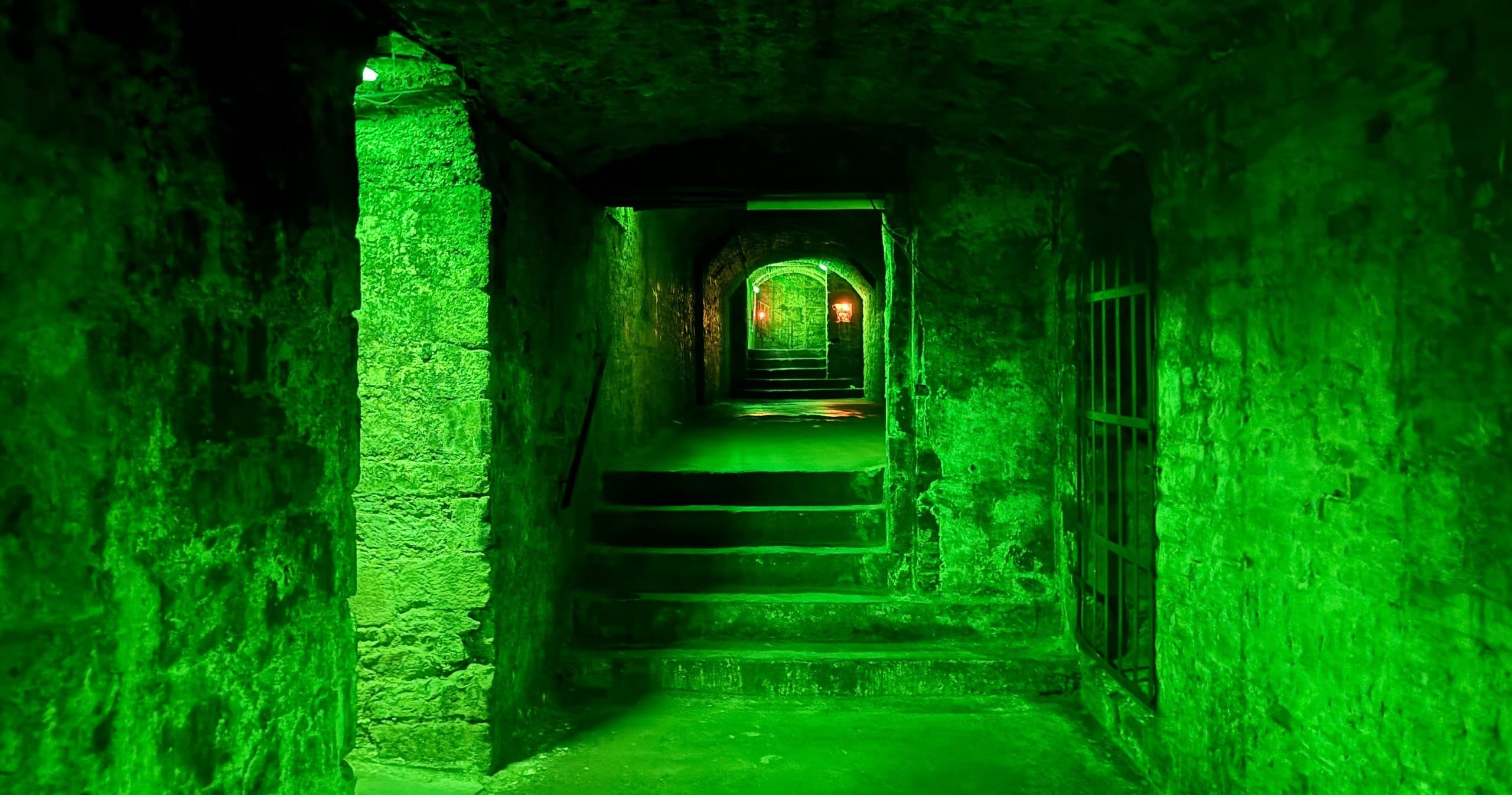 Haunted Vaults Adventure with Auld Reekie Tours in Edinburgh