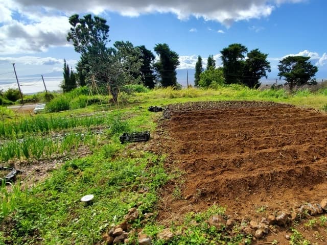 Farm & Culinary Tours with JourneyJill LLC in Maui