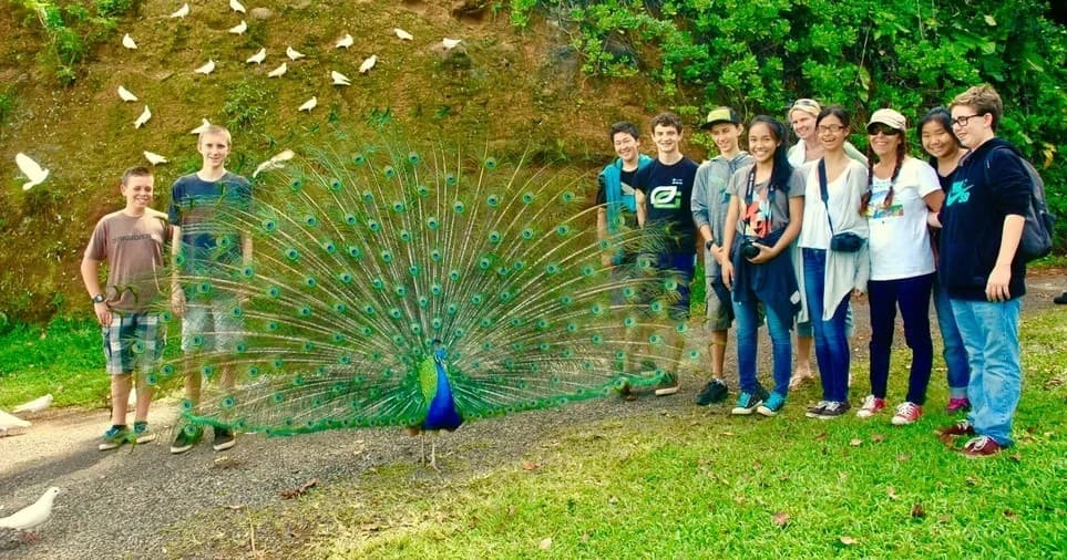 Spirit of Aloha Temple Botanical Gardens & Bird Sanctuary Tour in Haiku