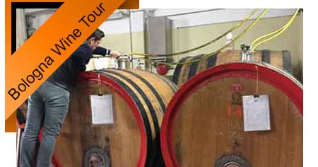 Wine Tasting & Gourmet Lunch with Under The Tuscan Sun Tours in Bologna