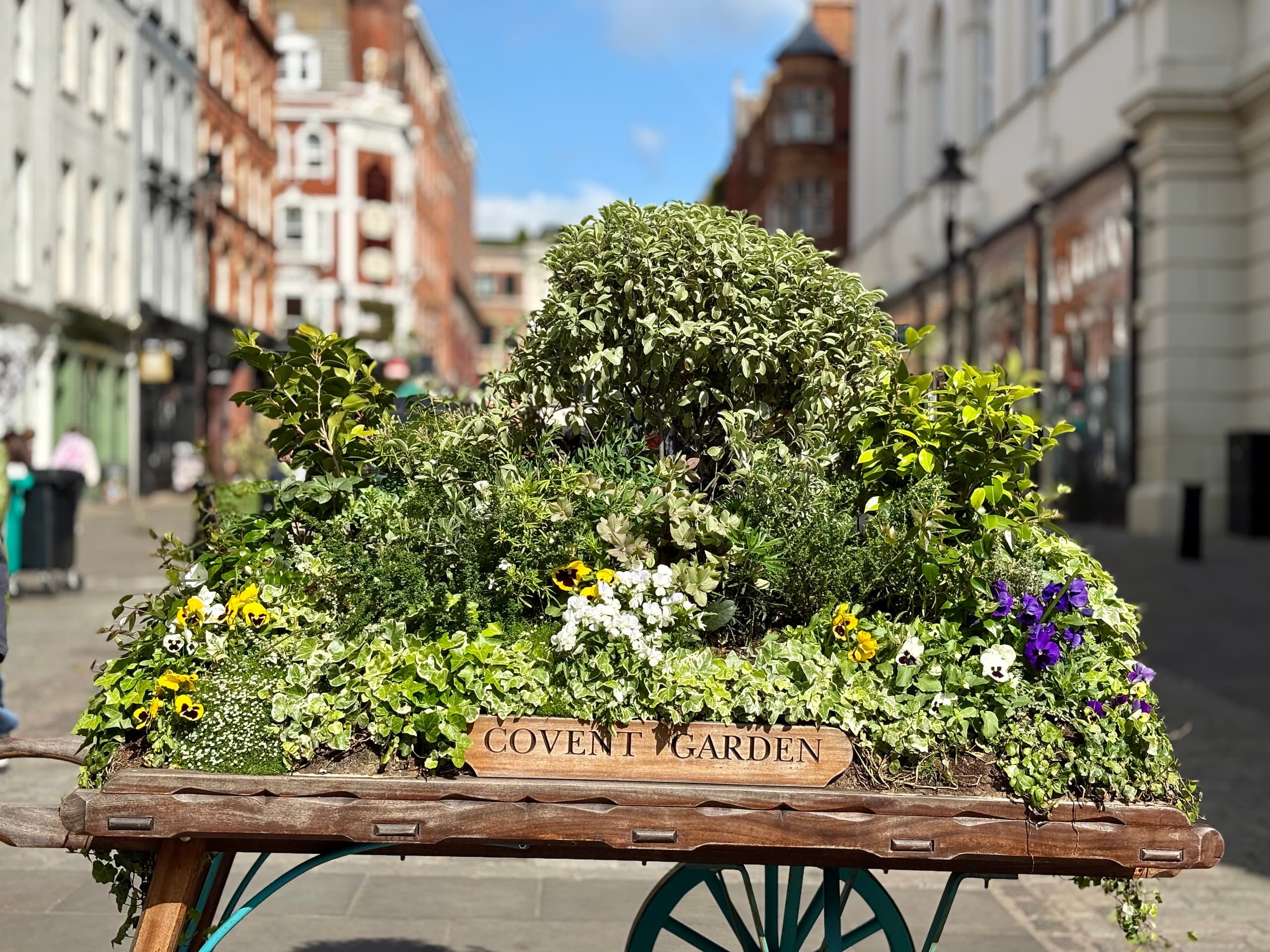 Covent Garden floral market cart on pedestrian street, market strolls