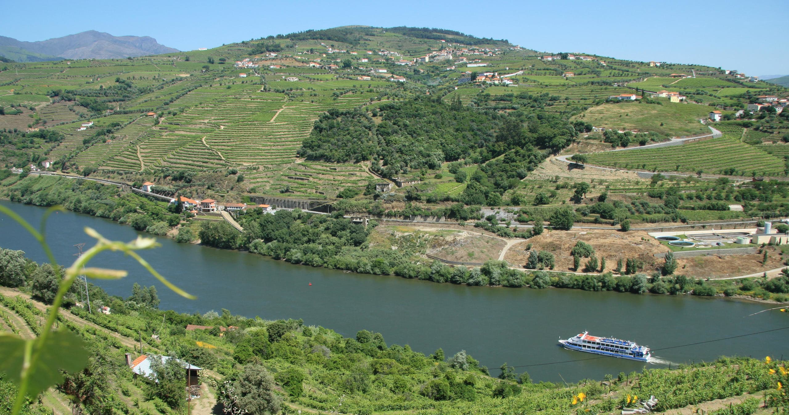 Water Activities: Tomaz do Douro Boat Cruise from Porto to Régua and Back