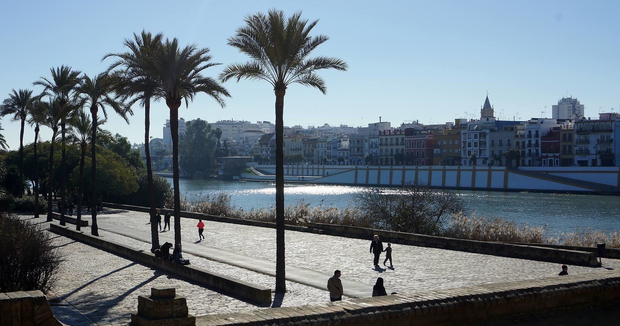Seville riverside promenade with palm trees and skyline