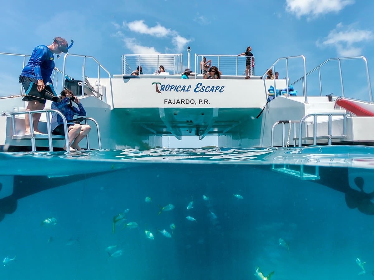 Icacos Snorkeling & Catamaran Adventure in Fajardo, Puerto Rico