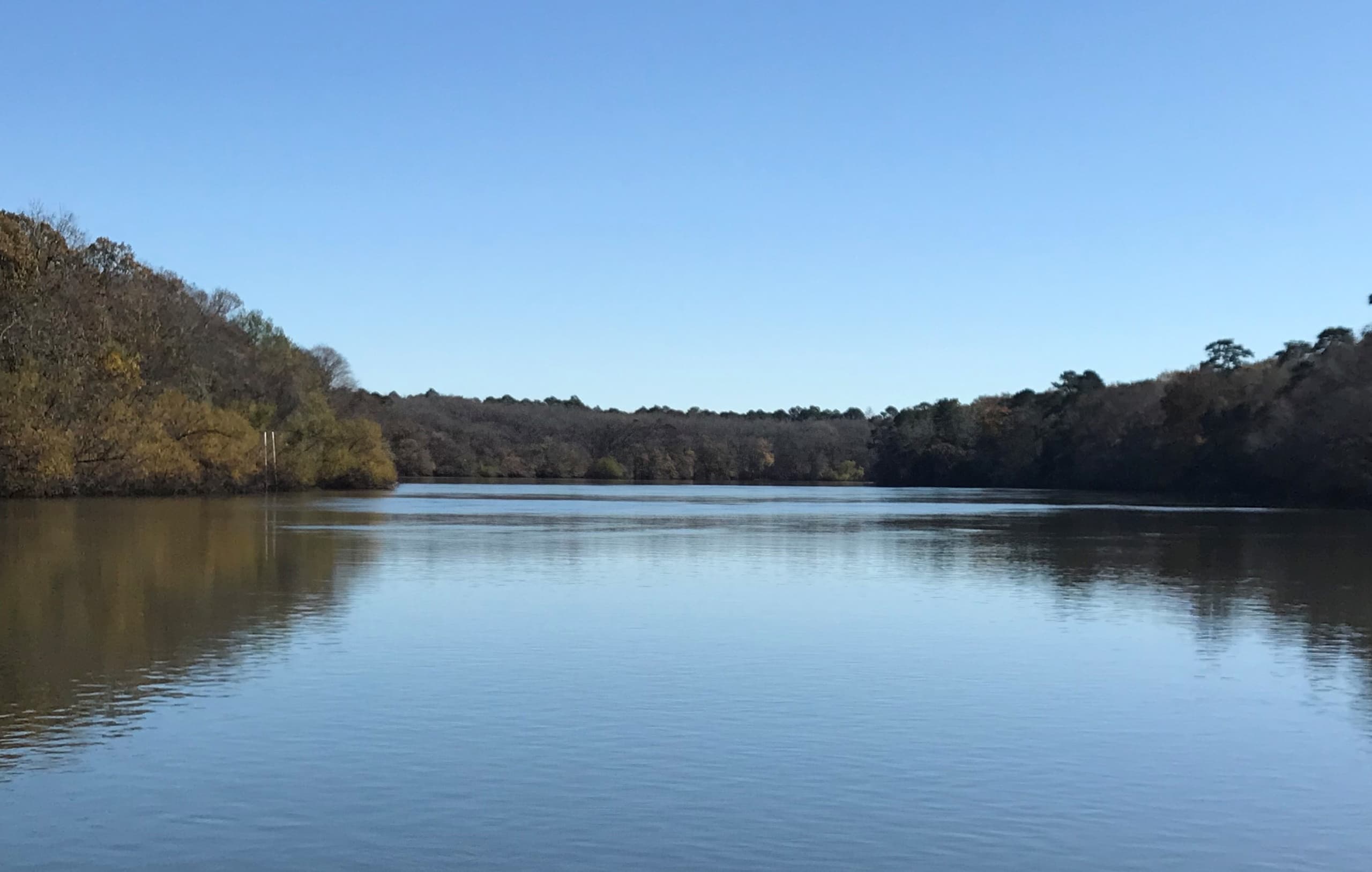 Apalachicola River Touring with T-Man's Charters in Port St. Joe