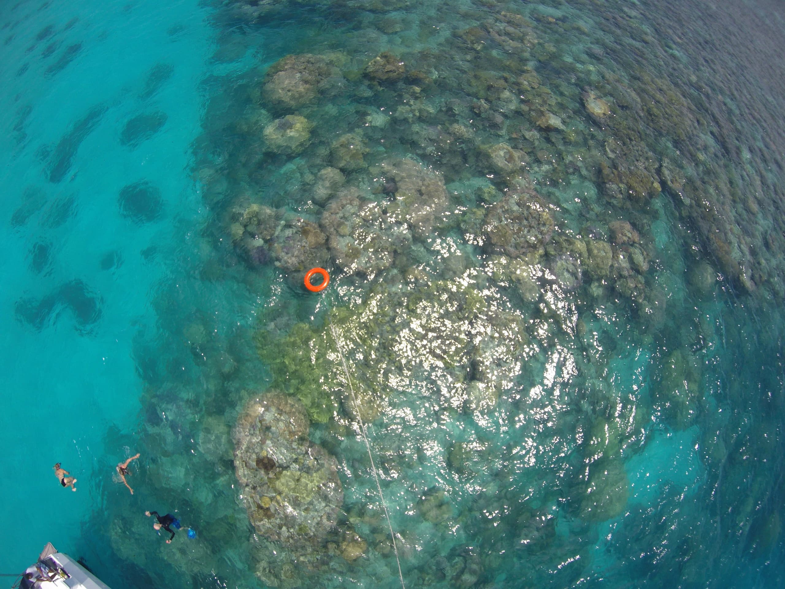 Water Activities & Boat Charters with Big Mama Sailing in Townsville