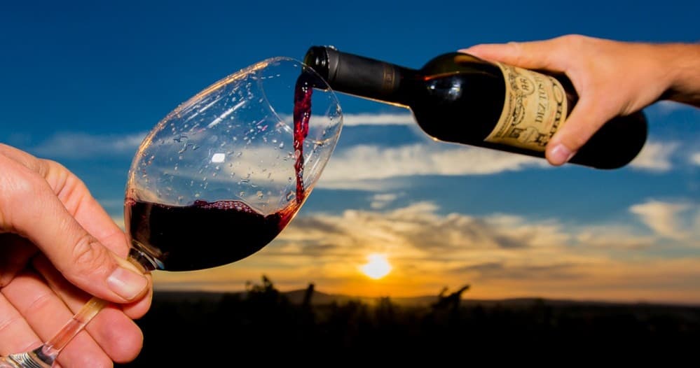 Redondo Wine Tasting | Farm in Redondo | Winery, Wine