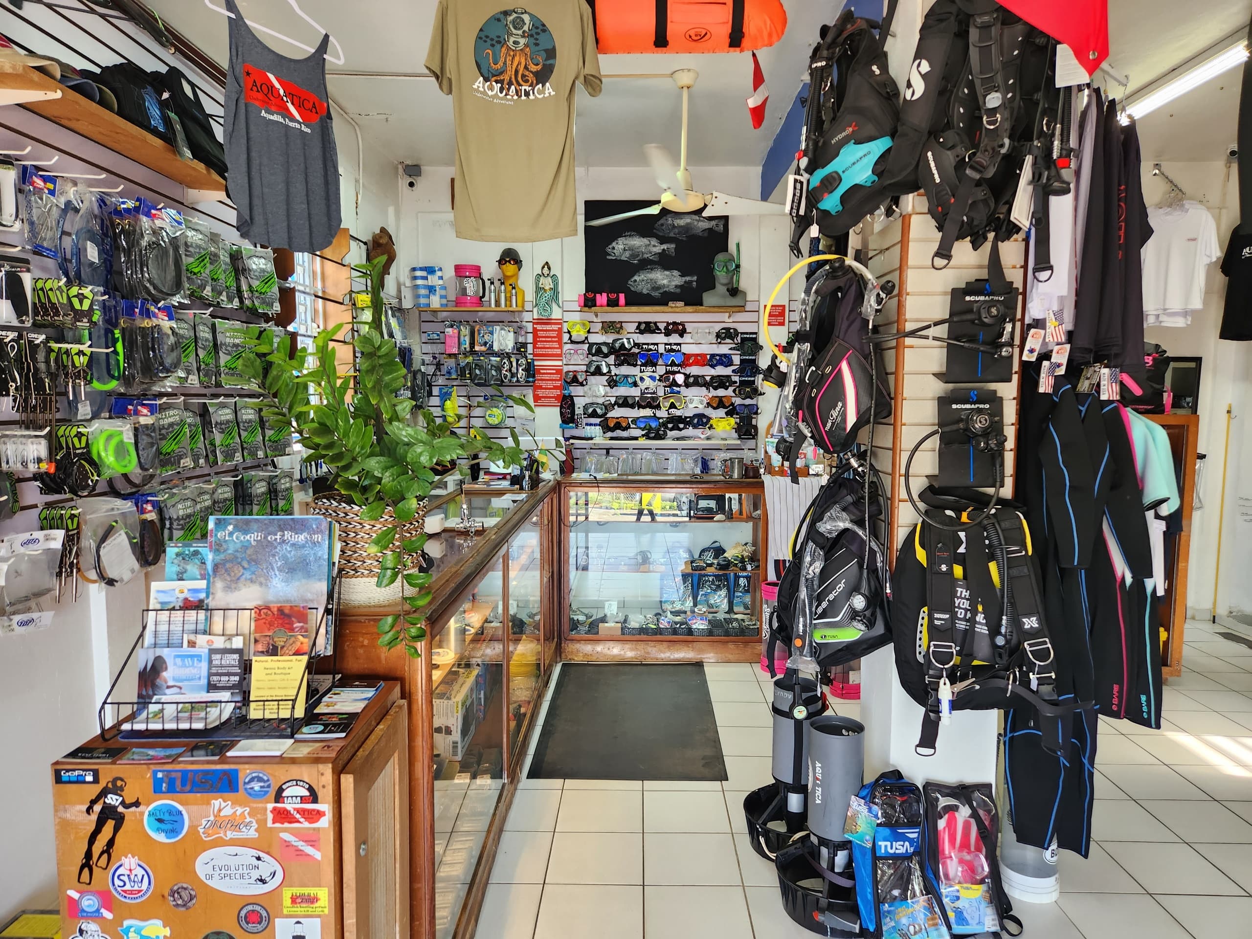 Referral Diver Certifications in Aguadilla, Puerto Rico