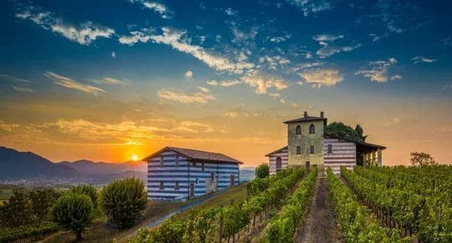Franciacorta Wine Tour from Bologna with Bologna Tour