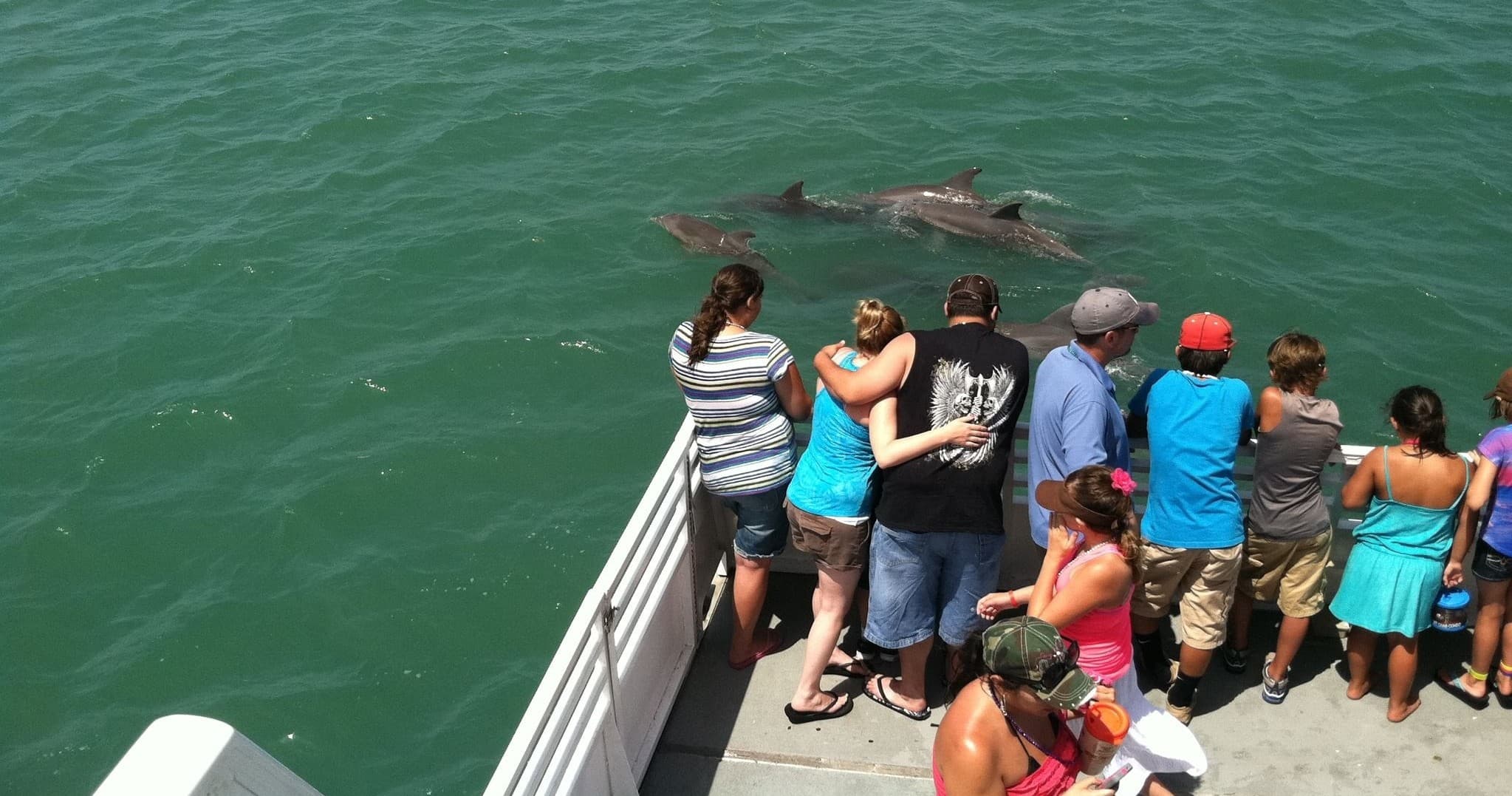 Passengers watching dolphins from charter boat on green sea