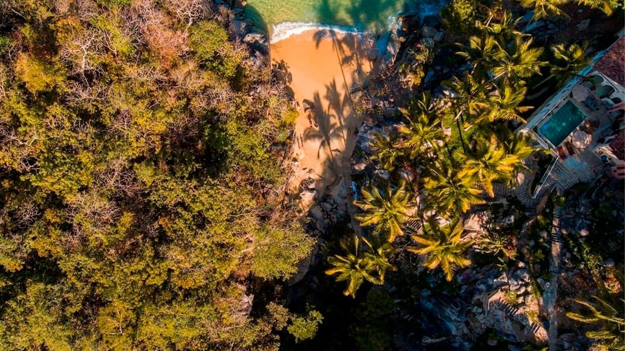 Water Activities at Puerto Vallarta Net: Coastal Adventures in Jalisco