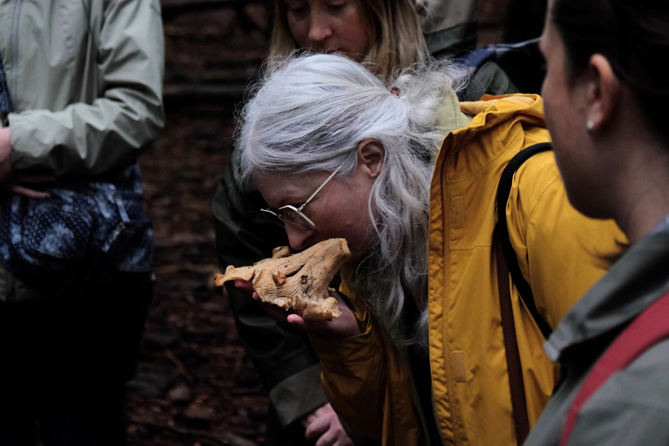 Foraging Mushrooms in Squamish: Guided Matsutake, Chanterelle & Porcini Foray photo 4