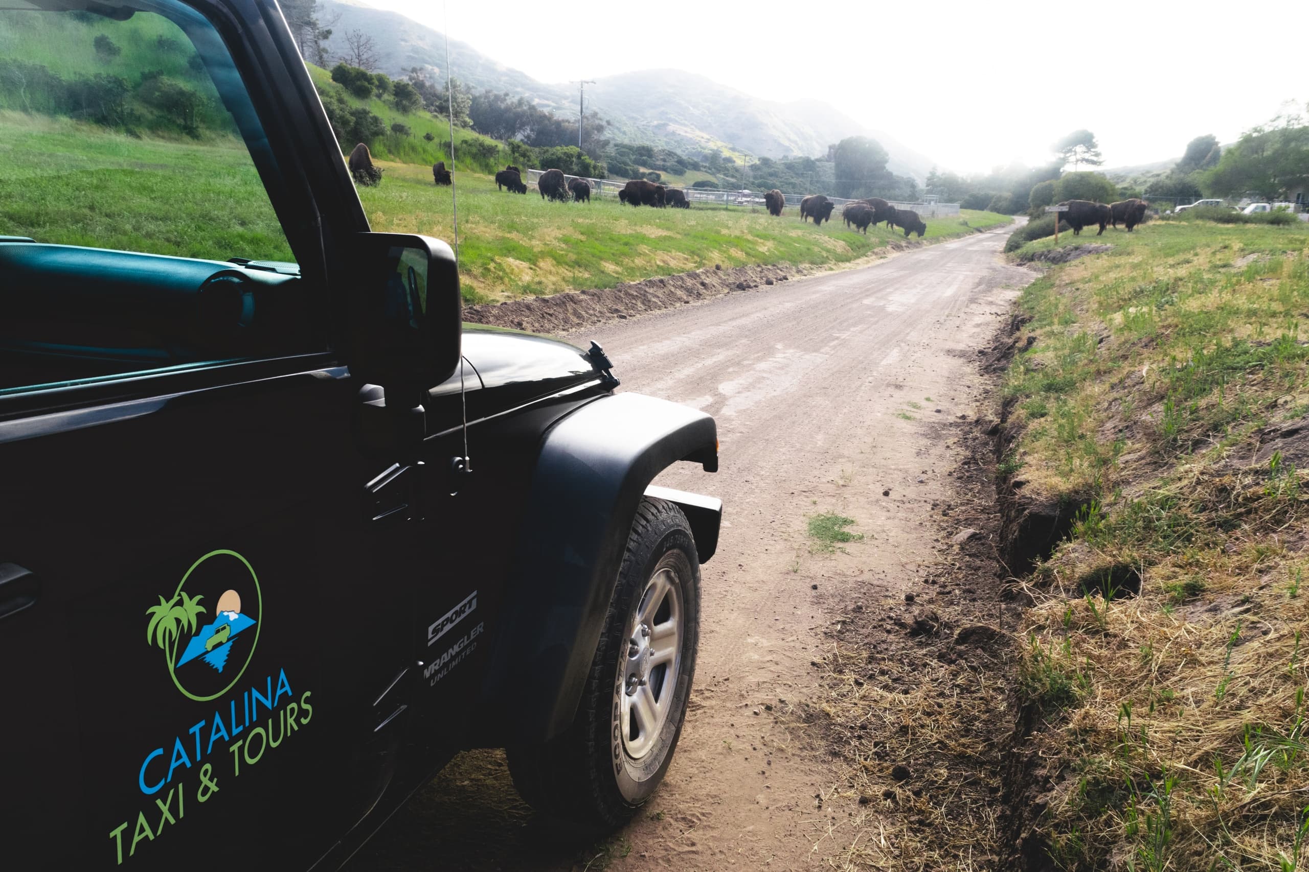 1.5 Hour Private Eco Tour | Eco Tour in Avalon, California