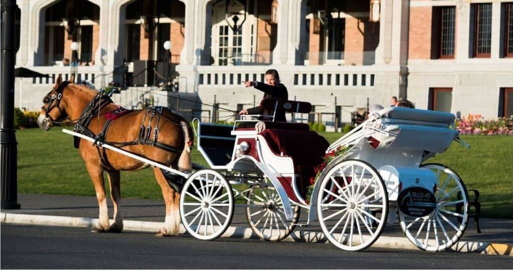 Historic James Bay Carriage Tour with Tally-Ho