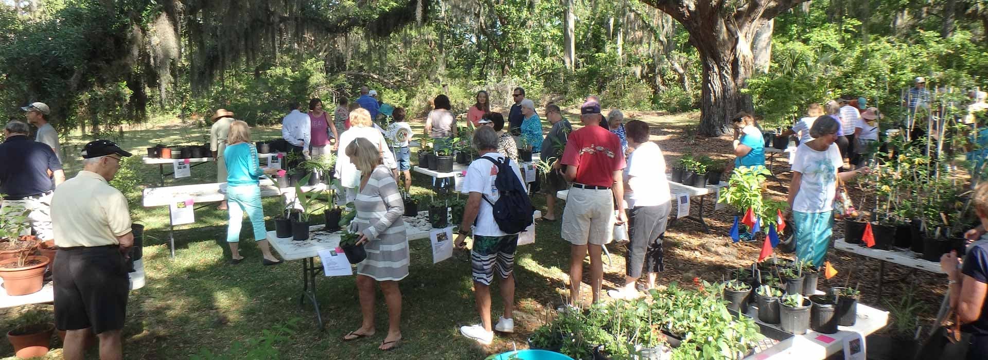 Wildlife & Nature - Coastal Discovery Museum Hilton Head