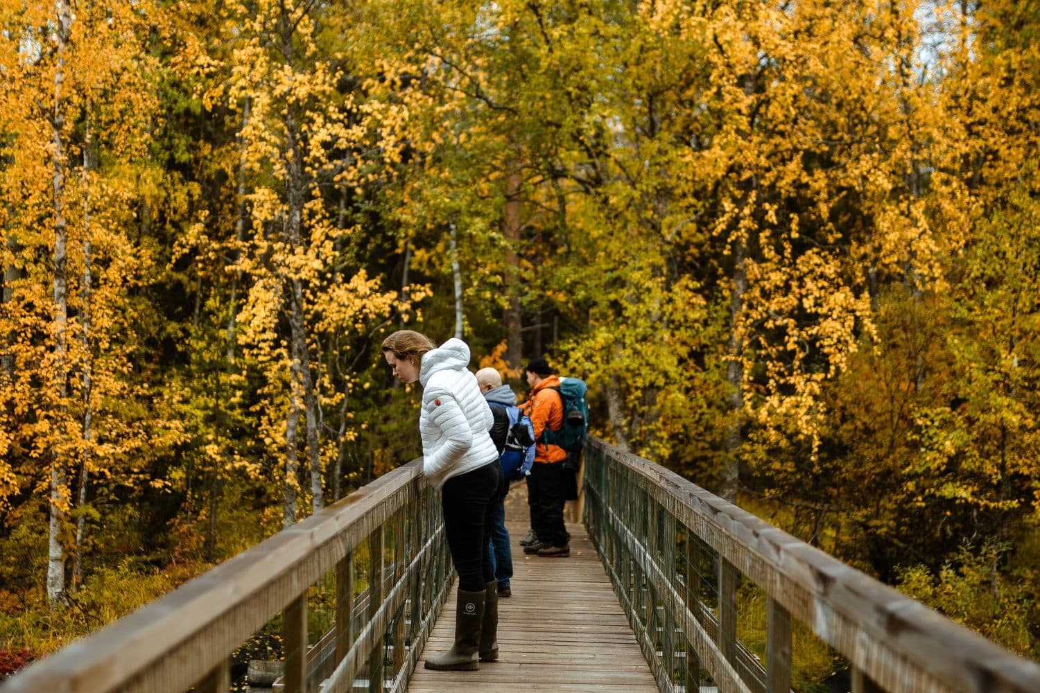 Arctic Circle Hiking with Apukka Resort in Rovaniemi