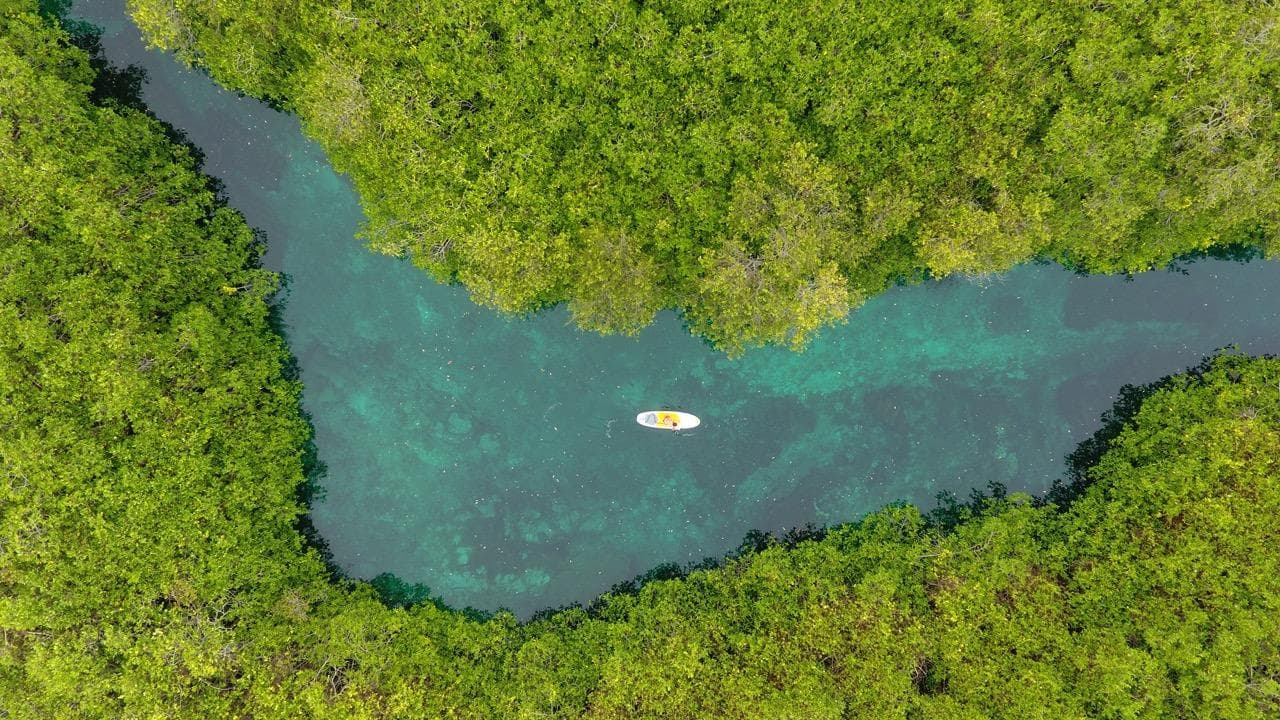 Cenote Diving Adventures with Deep Life in Cancún