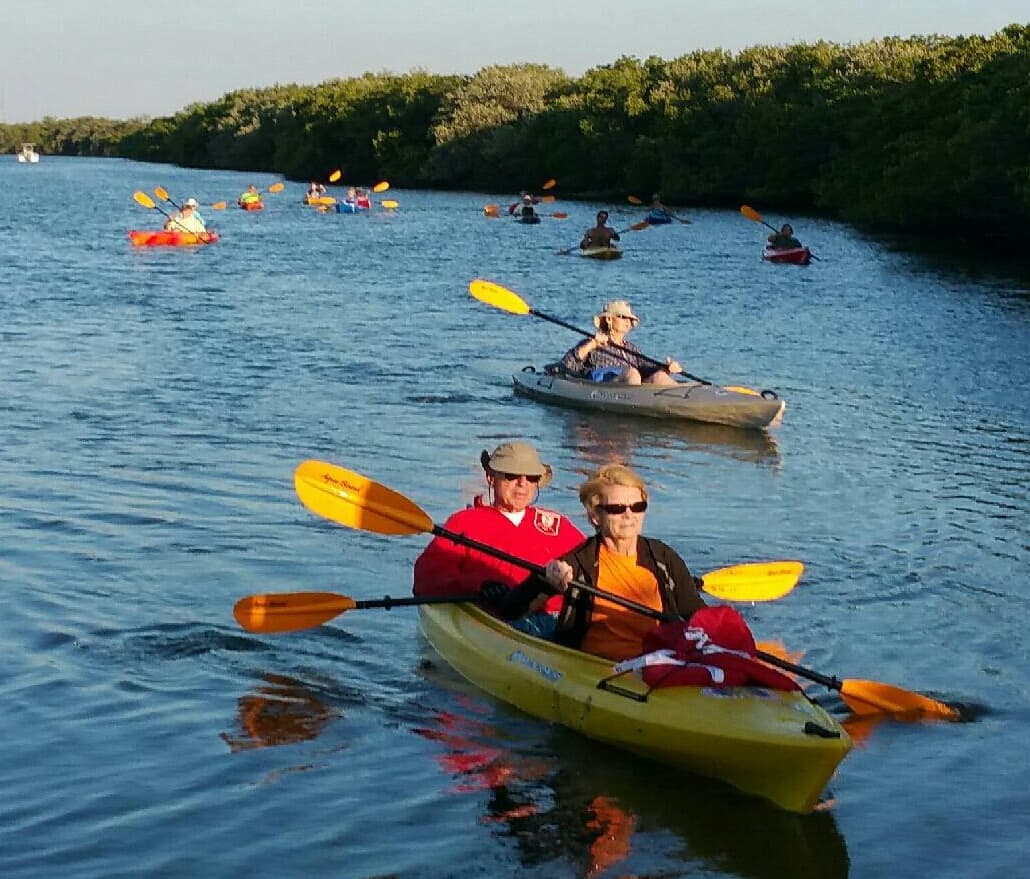 Couple kayaking through calm coastal waters near mangrove shoreline