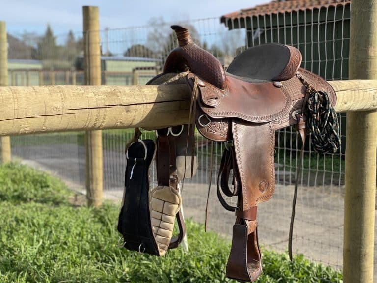 Western Horsemanship Lessons in Sonoma Valley: Hands-On Riding & Horse Care photo 1