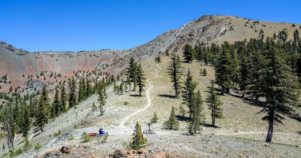 Backcountry ridge trail with hikers amid pine forests