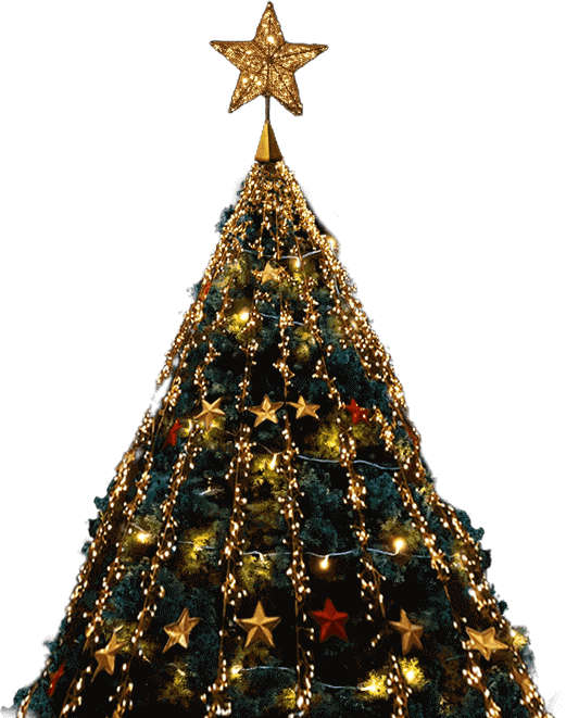 Decorated Christmas tree indoors with golden lights at holiday display