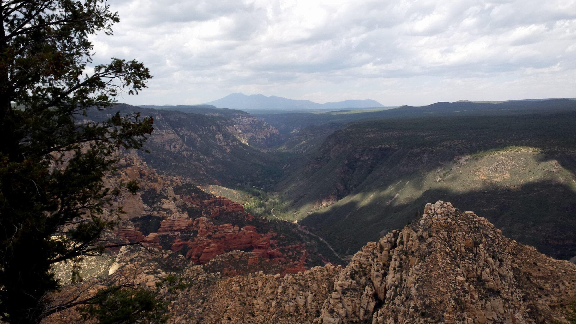 Expansive canyon ridge view over layered mesas and valleys