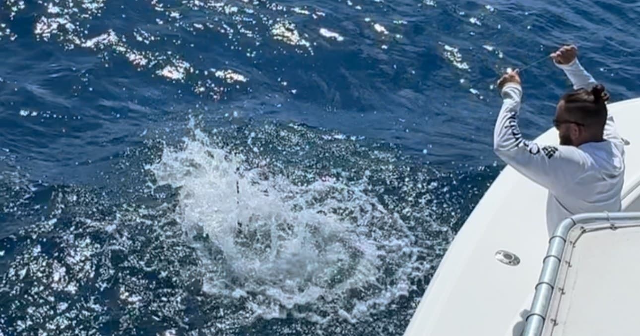 Angler releasing a caught fish into open blue ocean from boat