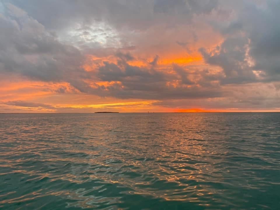 Cupid Cruise: 3-Hour Gulf Dolphins, Shelling & Sunset from St. Pete Beach photo 1
