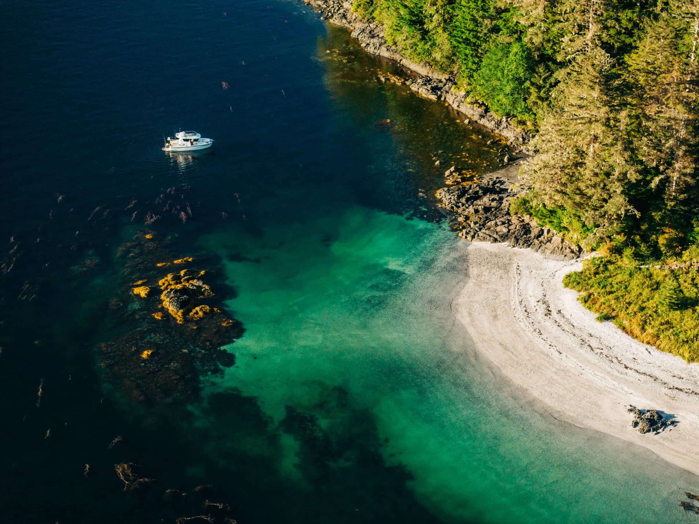 Islands of Wonder: Small-Group Wildlife Cruise & Remote Beach Landing in Sitka