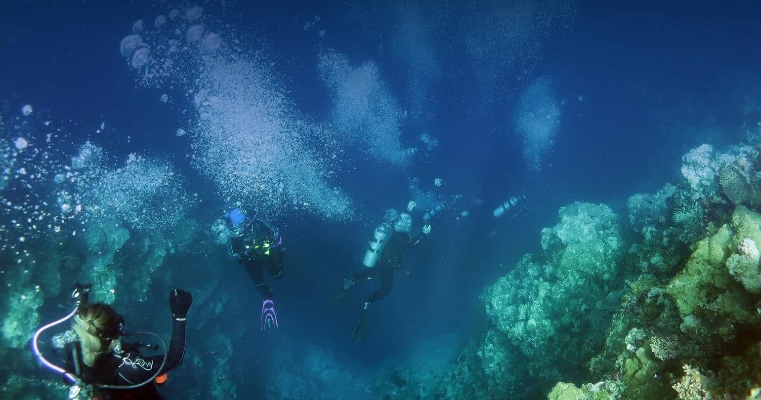CTA Section Background Image